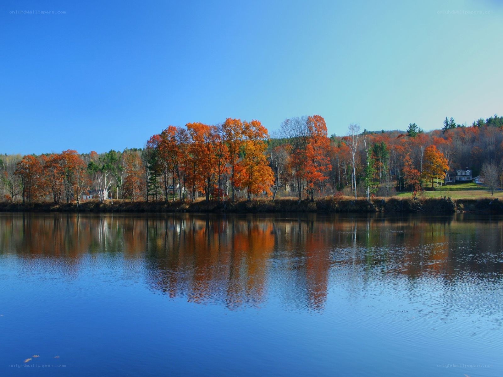 Autumn trees reflected in a lake