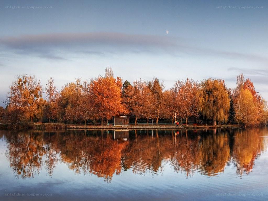 Autumn trees reflected in a lake