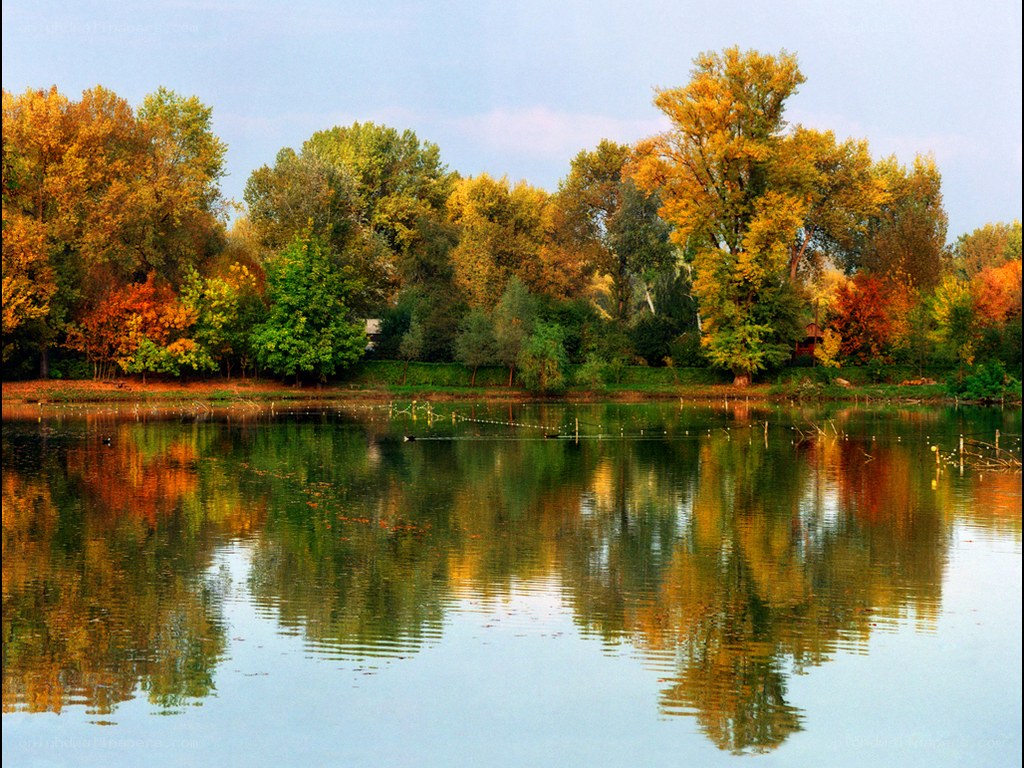 Autumn trees reflected in a lake