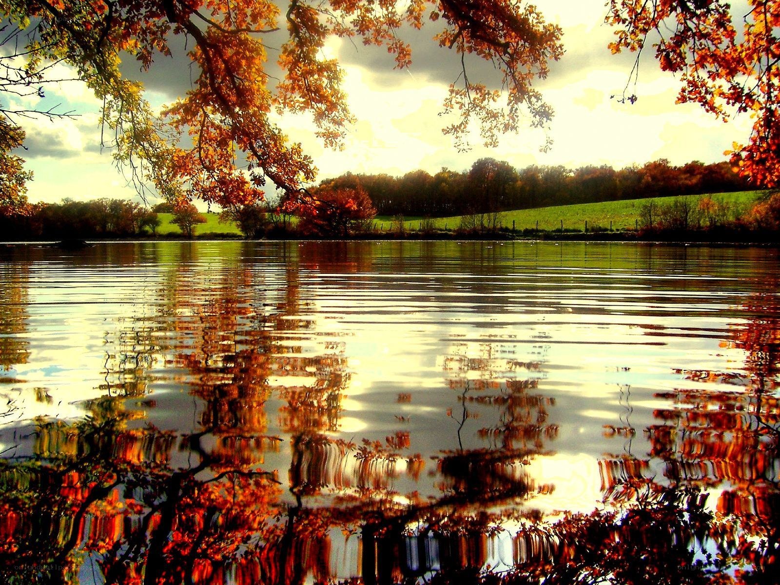 Autumn trees reflected in a lake