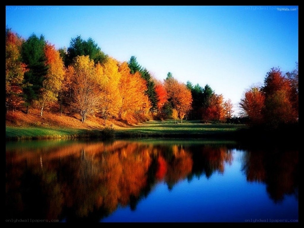 Autumn trees reflected in a lake