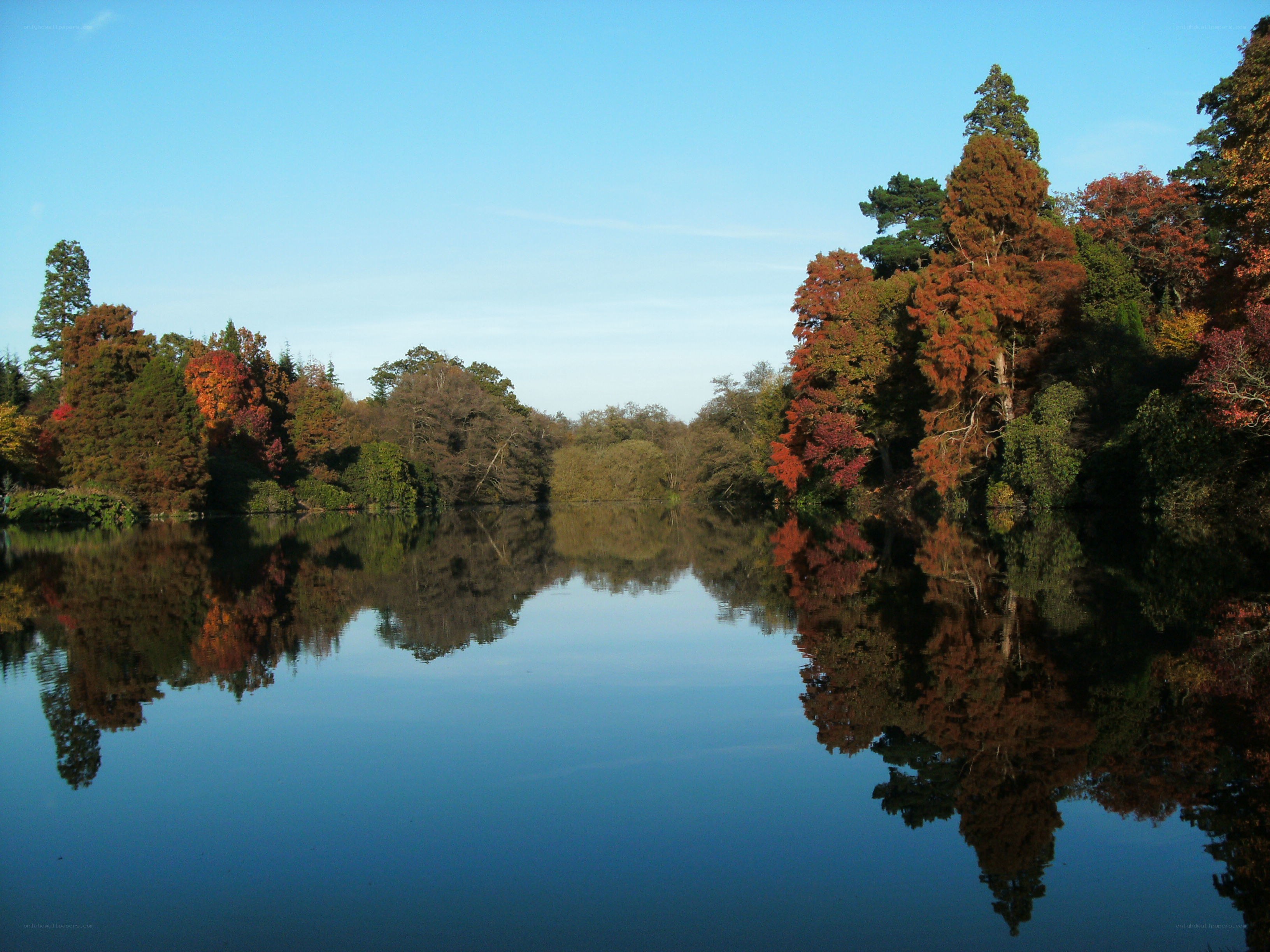 Autumn trees reflected in a lake
