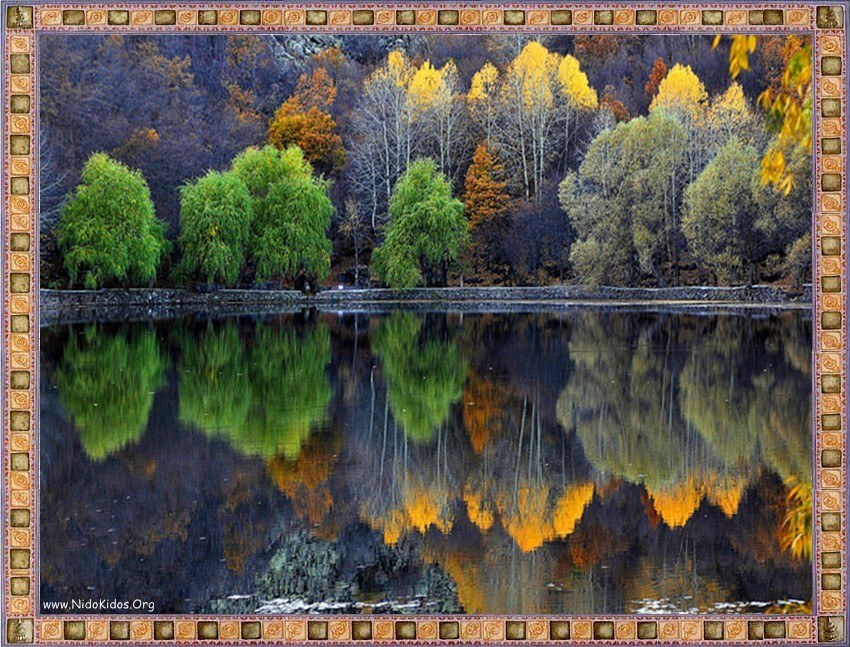 Autumn trees reflected in a lake