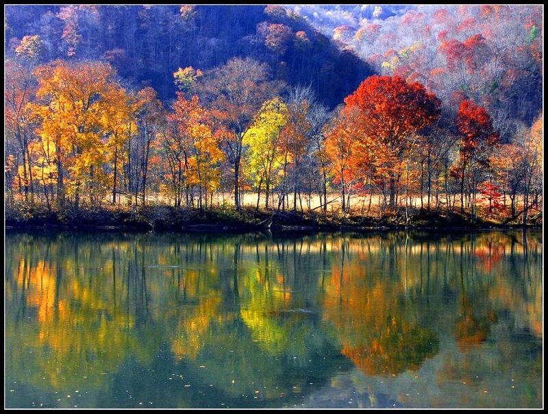 Autumn trees reflected in a lake
