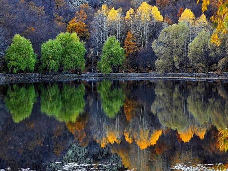 Autumn trees reflected in a lake