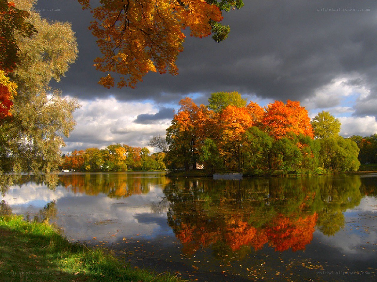 Autumn trees reflected in a lake