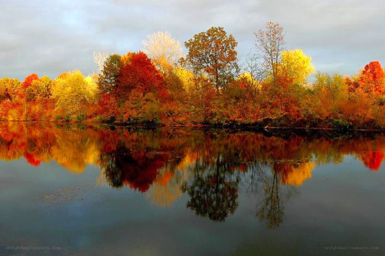 Autumn trees reflected in a lake