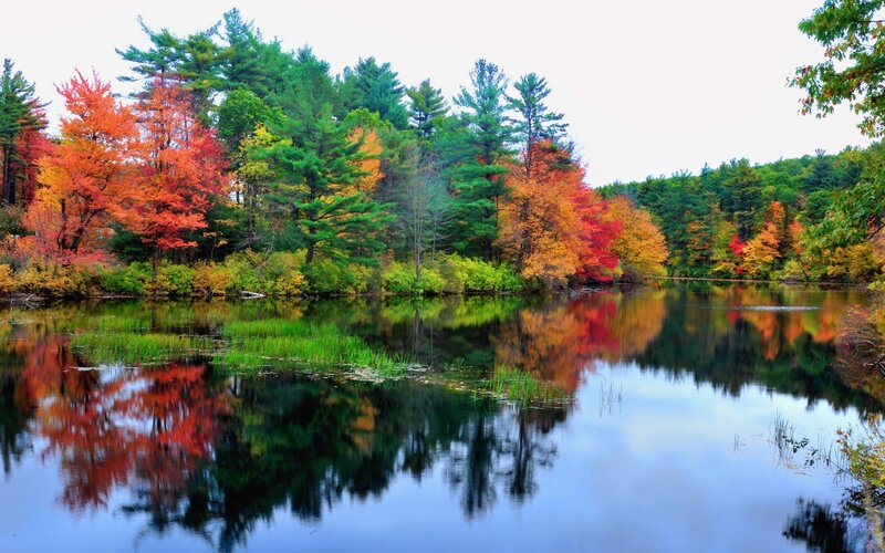 Autumn trees reflected in a lake