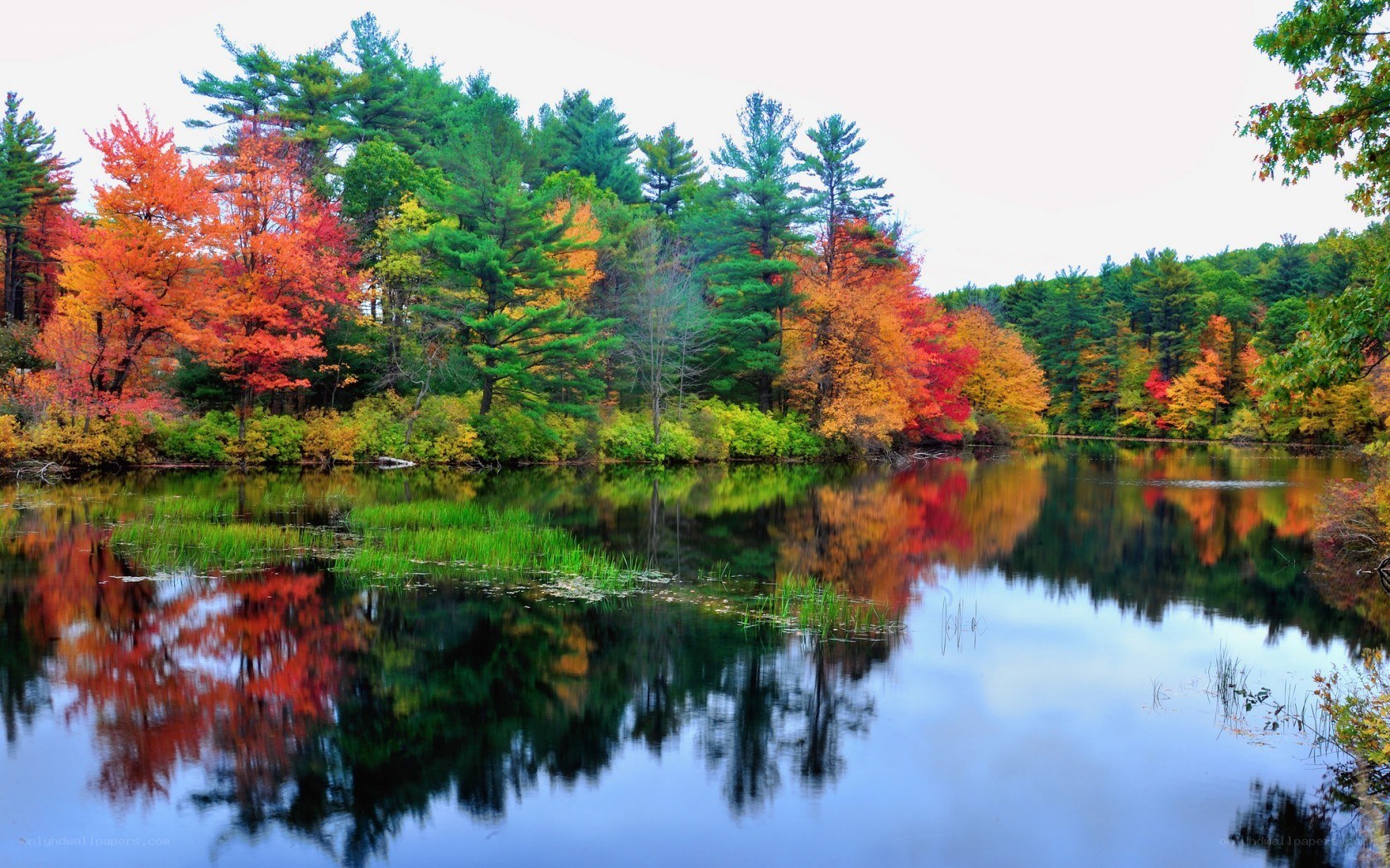 Autumn trees reflected in a lake