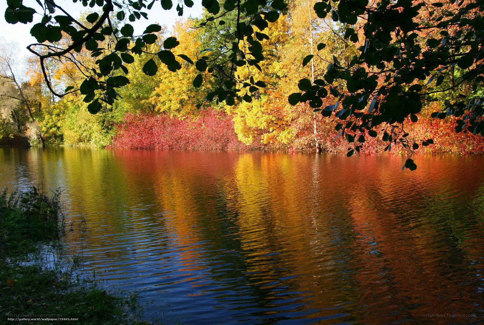 Autumn trees reflected in a lake