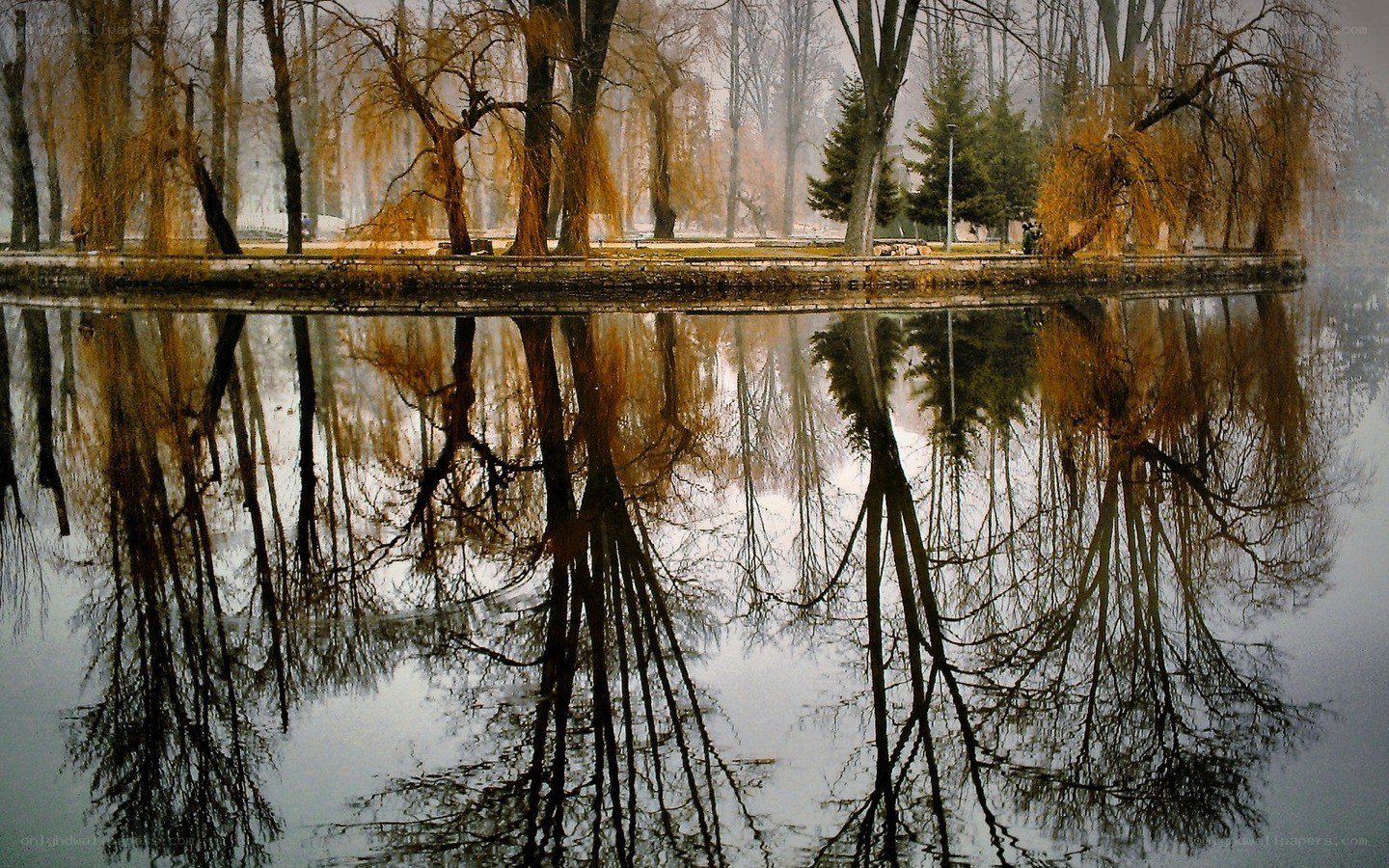Autumn trees reflected in a pond