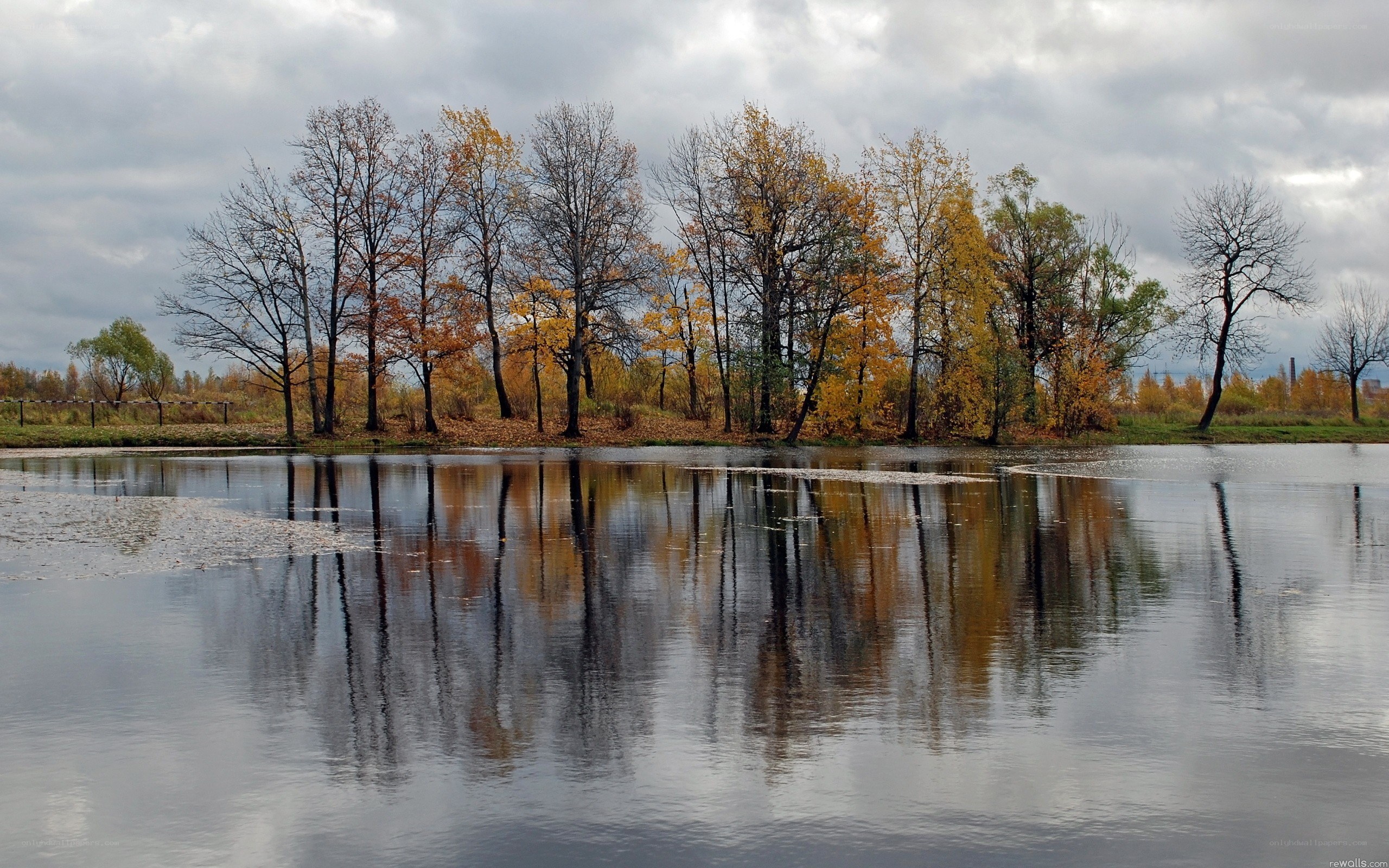 Autumn trees reflected in a pond