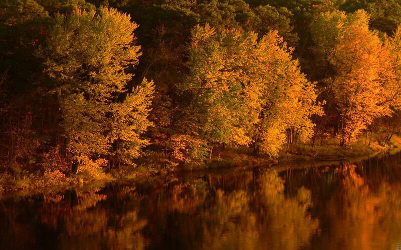 Autumn trees reflected in a river