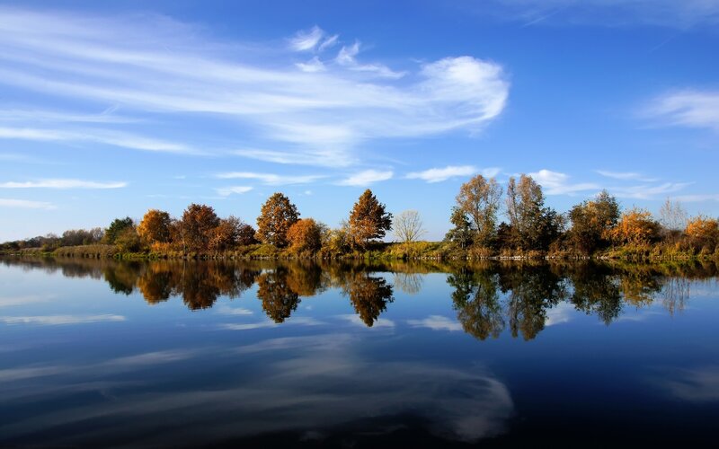 Autumn trees reflected in calm water
