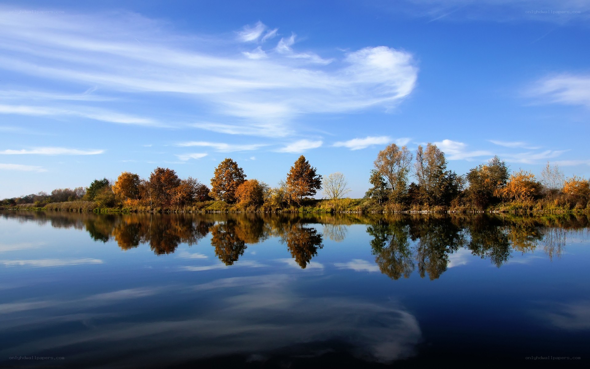Autumn trees reflected in calm water