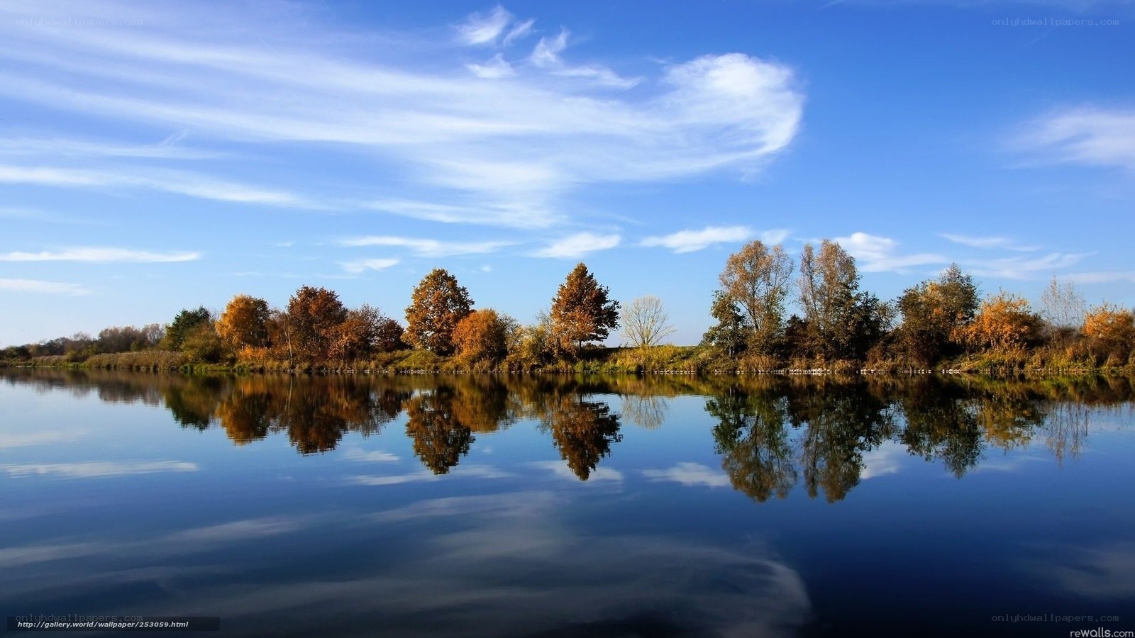 Autumn trees reflected in calm water
