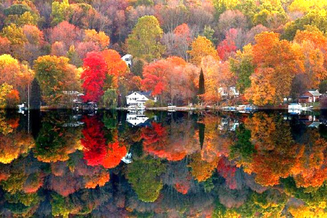 Autumn trees reflected in lake