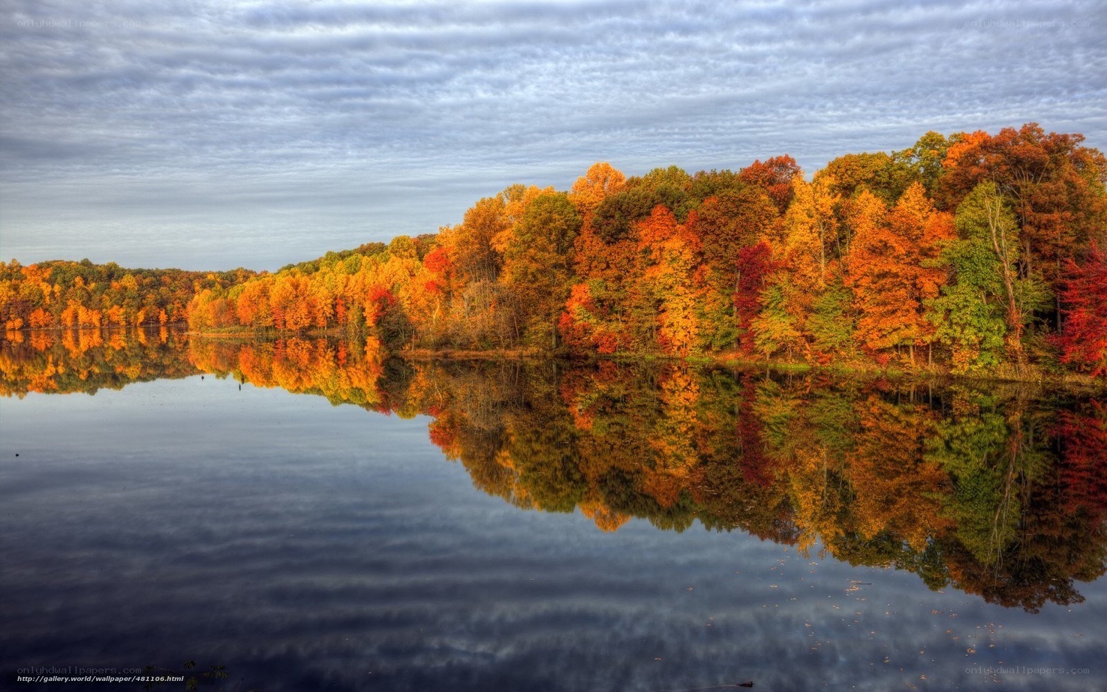 Autumn trees reflected in lake