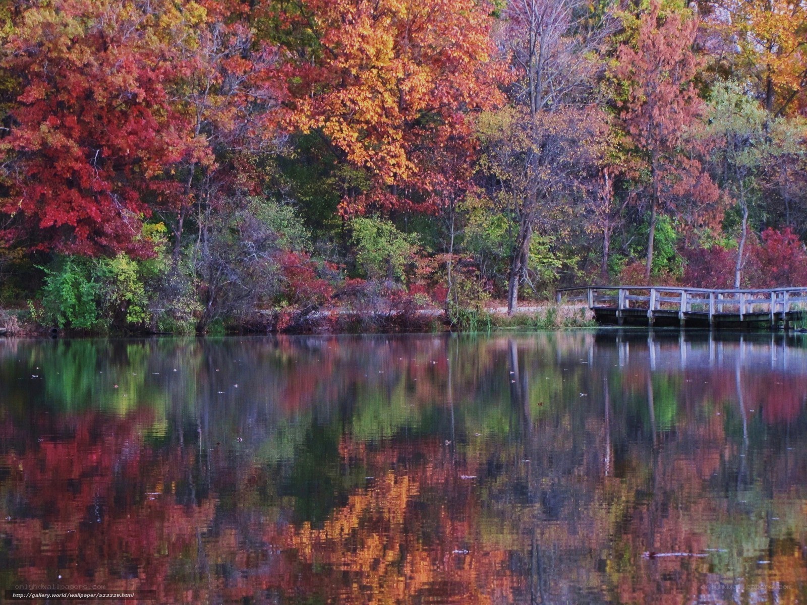 Autumn trees reflected in lake