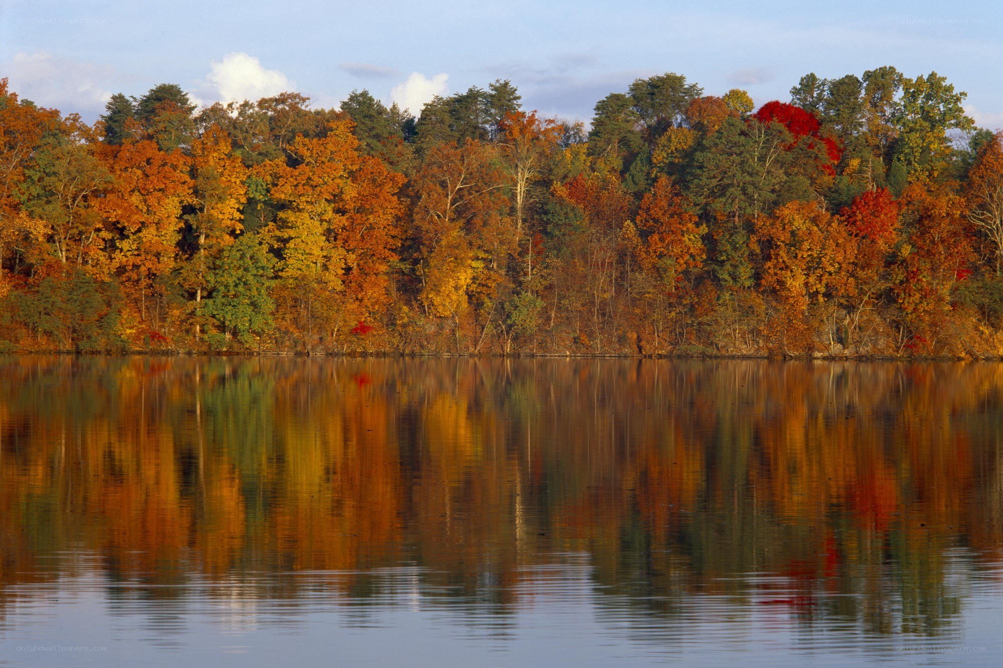 Autumn trees reflected in lake