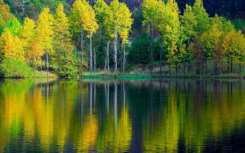 Autumn trees reflected in lake
