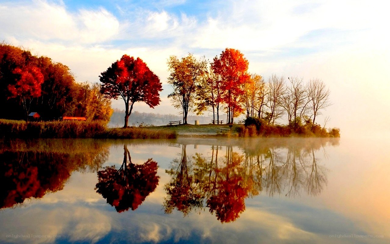 Autumn trees reflected in lake