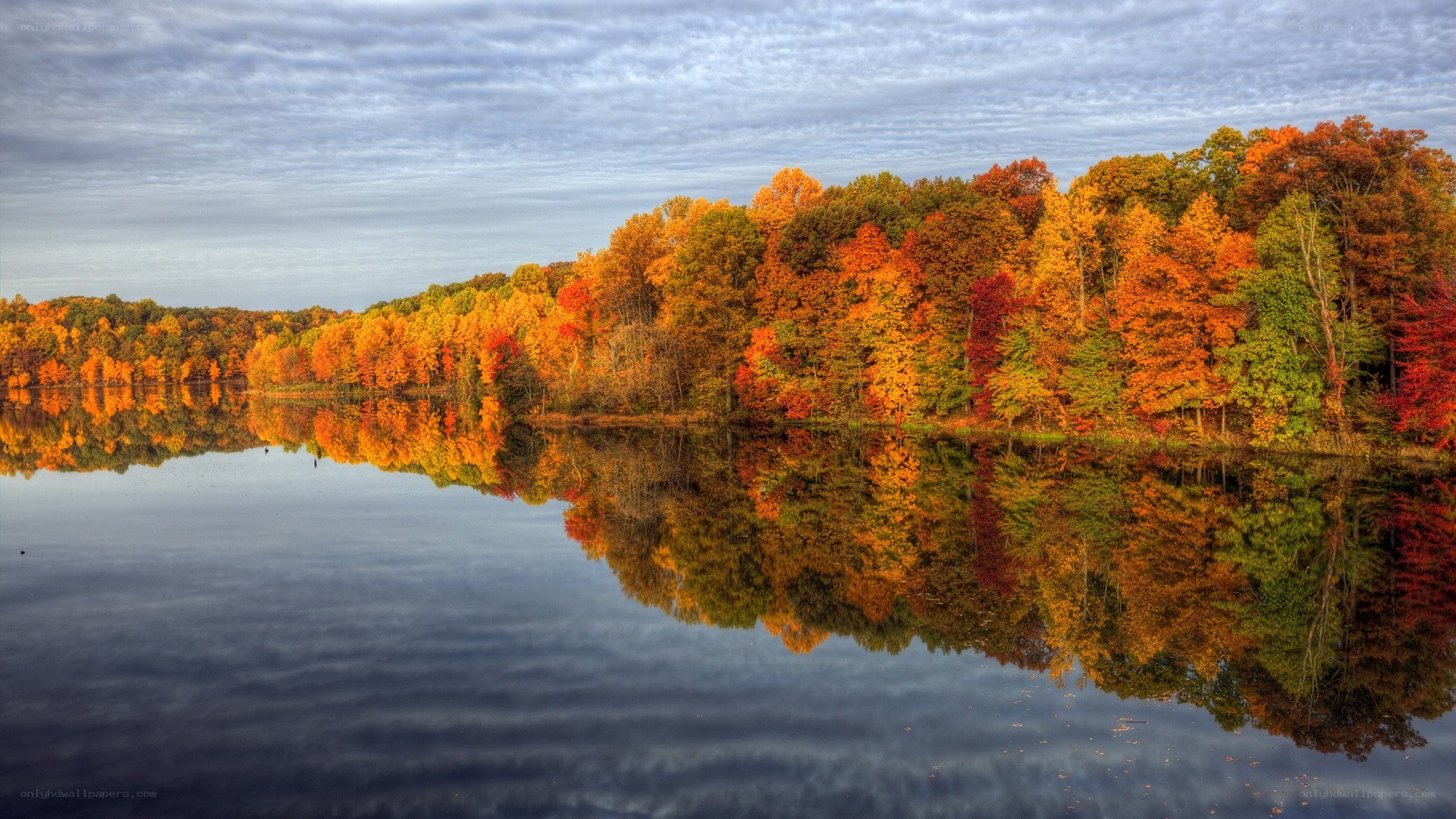 Autumn trees reflected in lake
