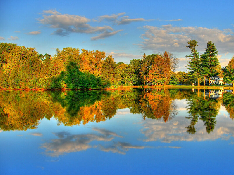 Autumn Trees Reflected in Lake — Blue, Serene, Afternoon