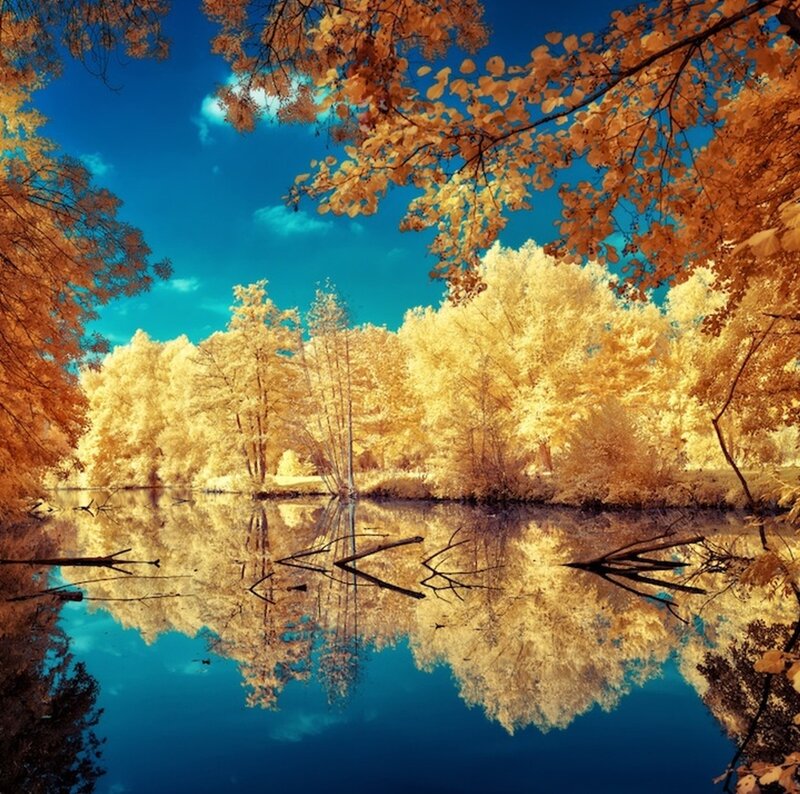 Autumn Trees Reflected in Lake — Blue, Serene, Photograph