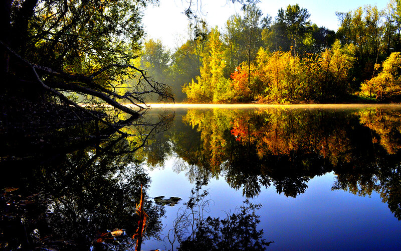 Autumn Trees Reflected in Lake — Blue, Serene