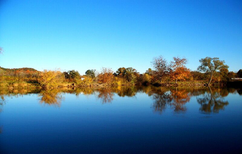 Autumn Trees Reflected in Lake — Blue