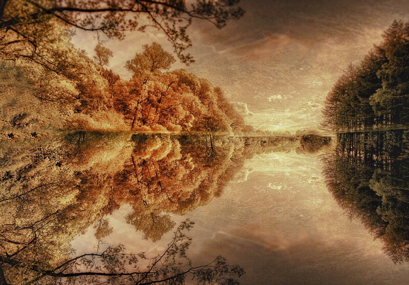 Autumn Trees Reflected in Lake — Brown