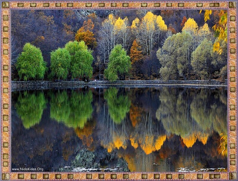 Autumn Trees Reflected in Lake — Green, Serene, Photograph, Reflection, Forest, Yellow