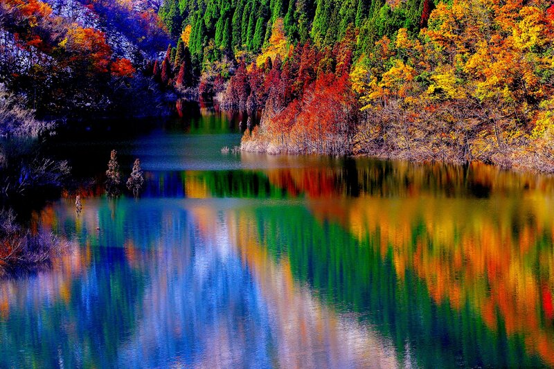 Autumn Trees Reflected in Lake — Green, Serene, Photograph, Reflection