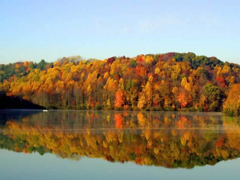 Autumn Trees Reflected in Lake — Orange, Serene, Photograph, Sky, Yellow, Blue
