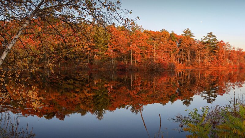 Autumn Trees Reflected in Lake — Orange, Serene, Sunset