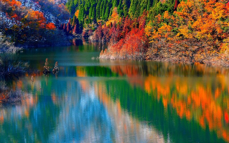 Autumn Trees Reflected in Lake — Orange, Serene