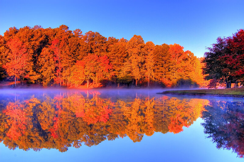 Autumn Trees Reflected in Lake — Orange