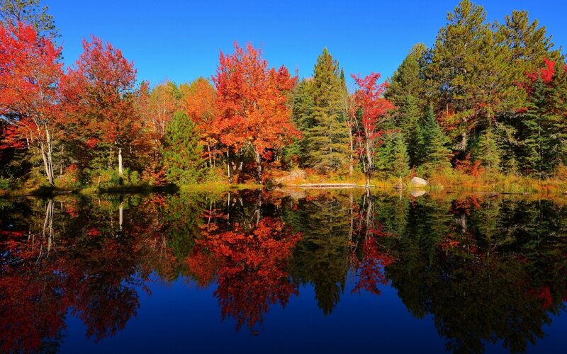 Autumn Trees Reflected in Lake — Red, Serene, Photograph, Sky