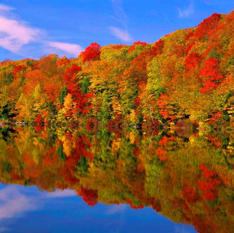 Autumn Trees Reflected in Lake — Red, Serene, Photograph