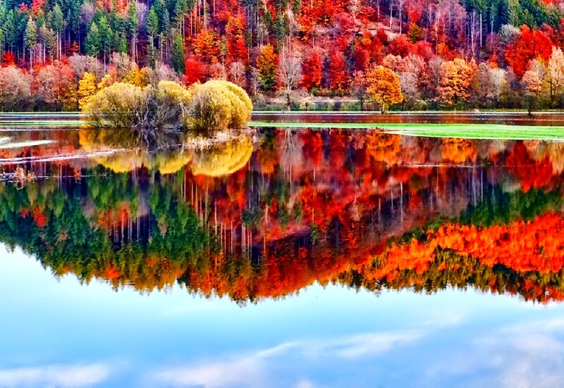 Autumn Trees Reflected in Lake — Red, Serene