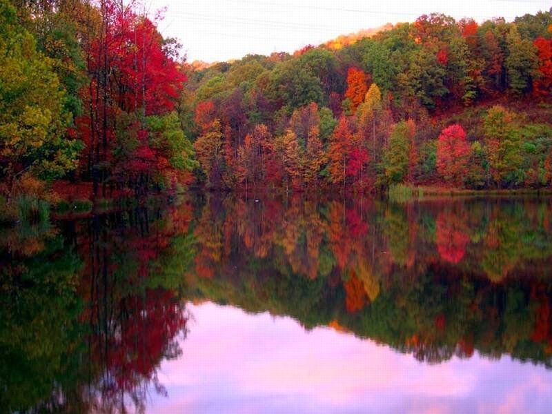 Autumn Trees Reflected in Lake — Red