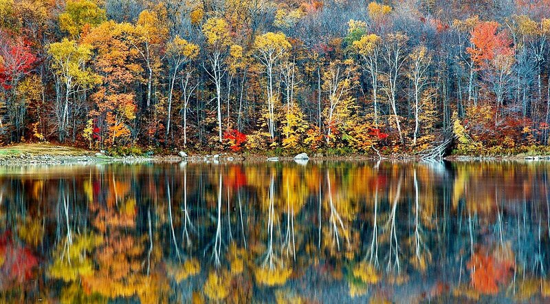 Autumn Trees Reflected in Lake — Yellow