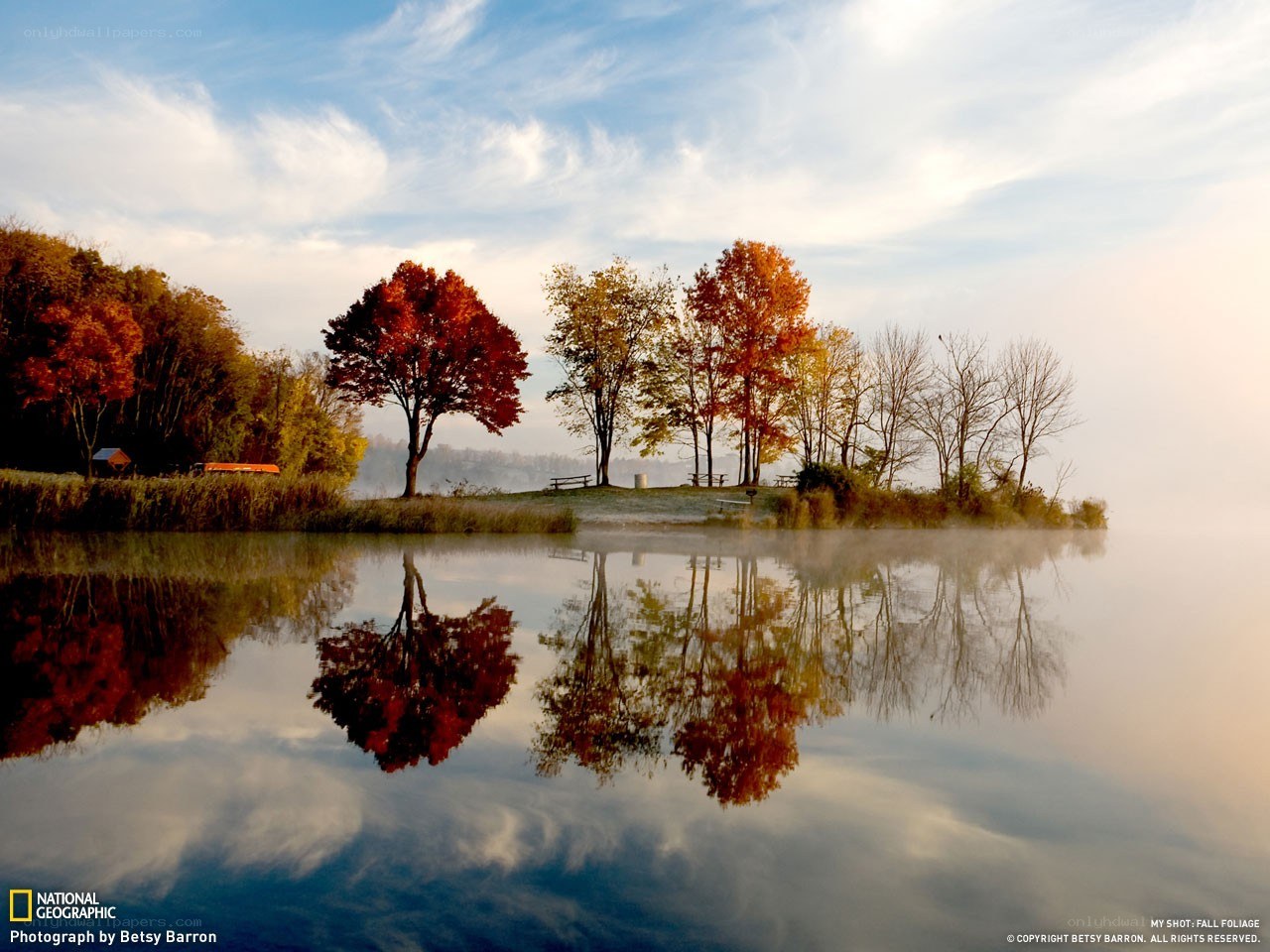 Autumn trees reflected in misty lake