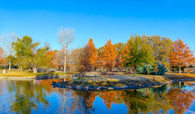 Autumn trees reflected in pond