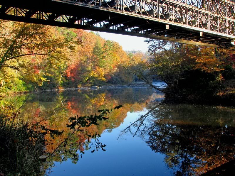 Autumn Trees Reflected in River — Blue