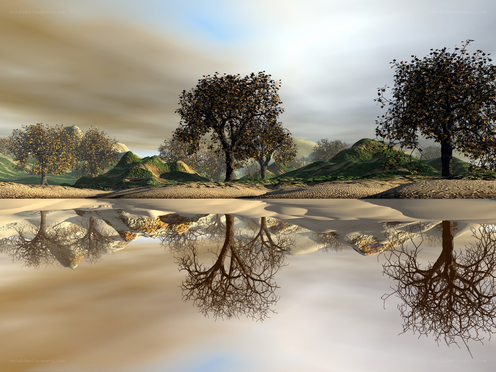 Autumn trees reflected in water