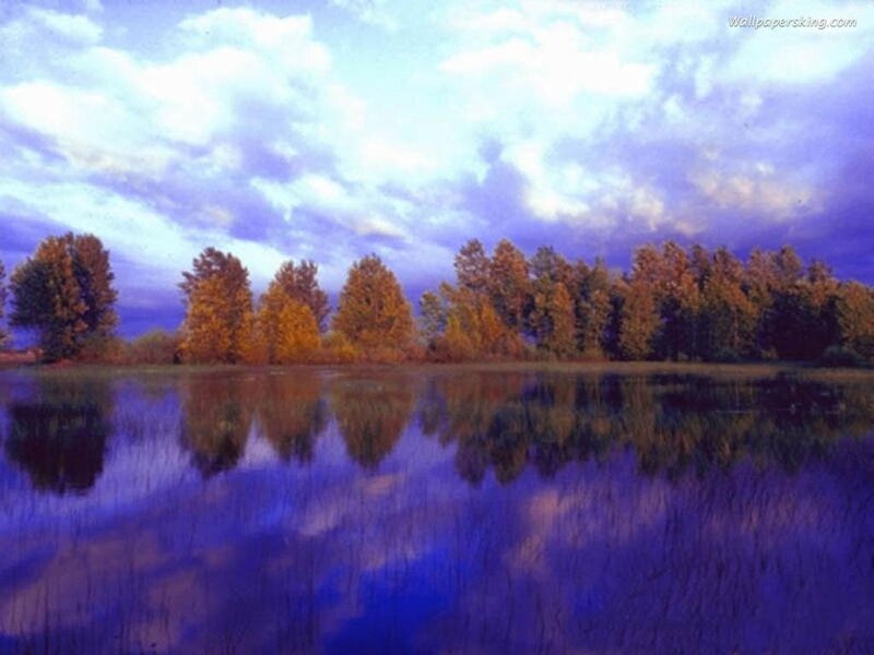 Autumn trees reflected in water