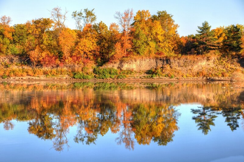Autumn Trees Reflected in Water — Blue