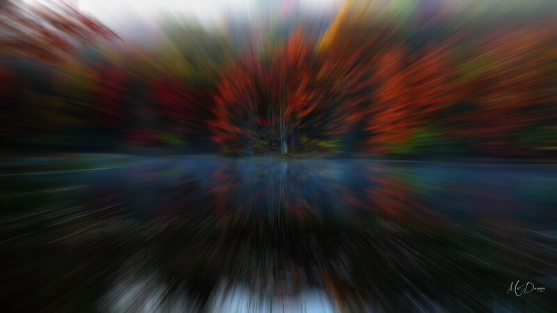 Autumn Trees Reflected in Water — Red